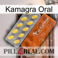 Kamagra Oral 42